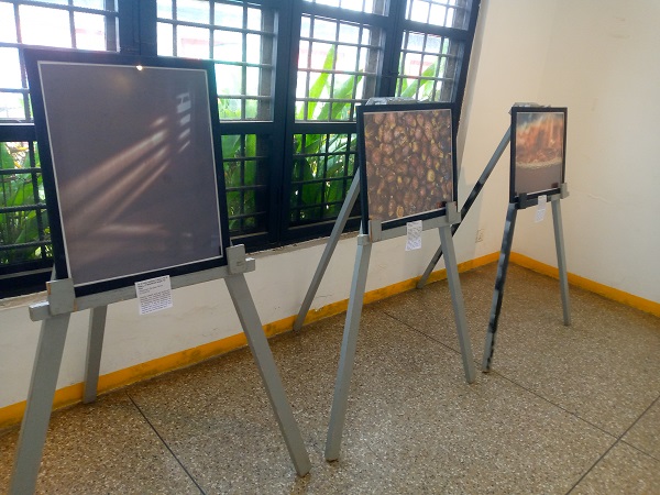 Art in the city